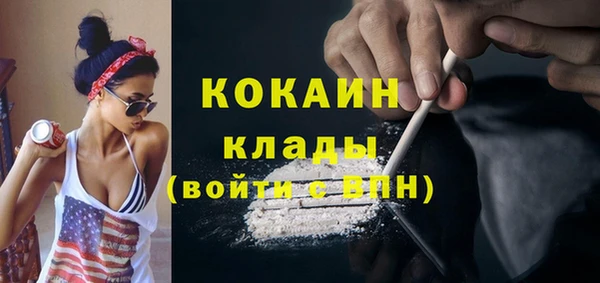 крисы Няндома