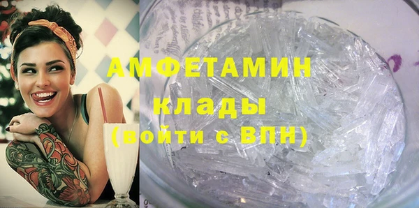 крисы Няндома