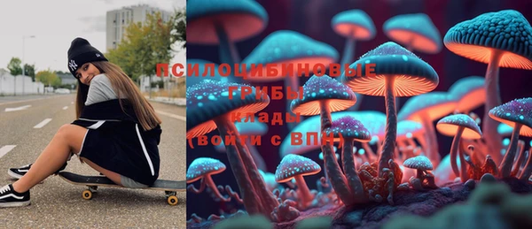тгк Осташков