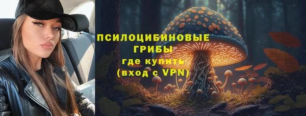 индика Бутурлиновка