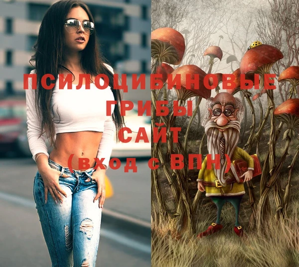 a pvp Осинники