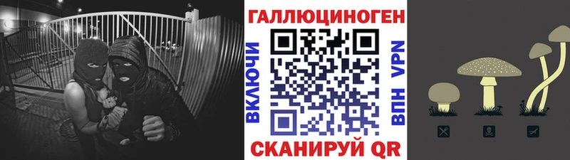 Галлюциногенные грибы прущие грибы  Нолинск 